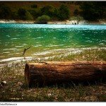 Head up river to find your source.