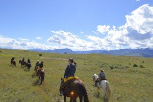 Riding horses in the Paradise Valley